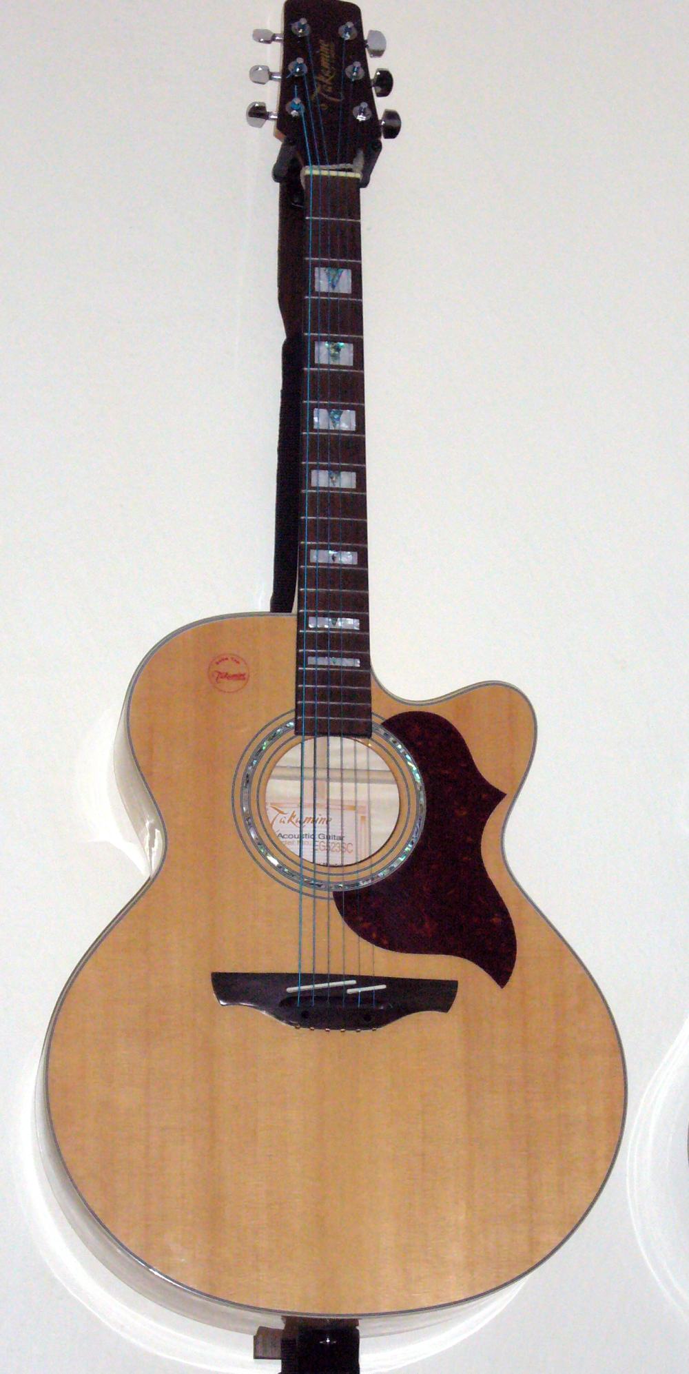 Nejoblíbenější nástroj-Takamine EG 523SC.jpg